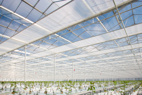 Engergy Screens Greenhouse
