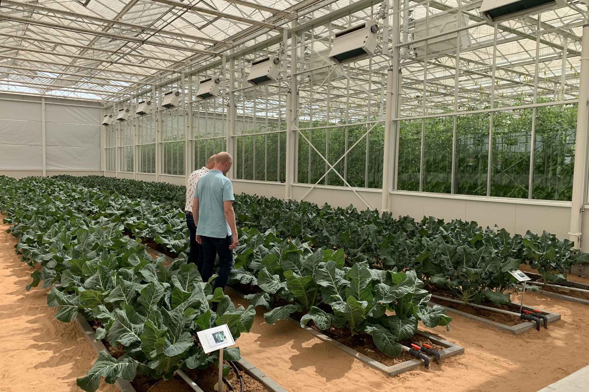 Greenhouse Grower Services