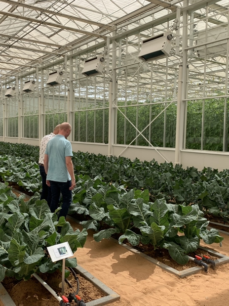 Greenhouse Grower Services