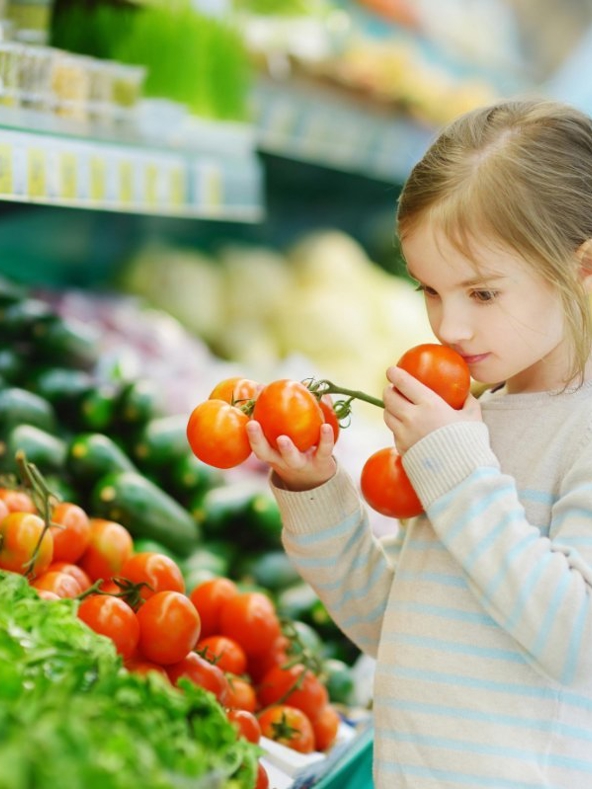 Tomato greenhouse with advanced climate control systems