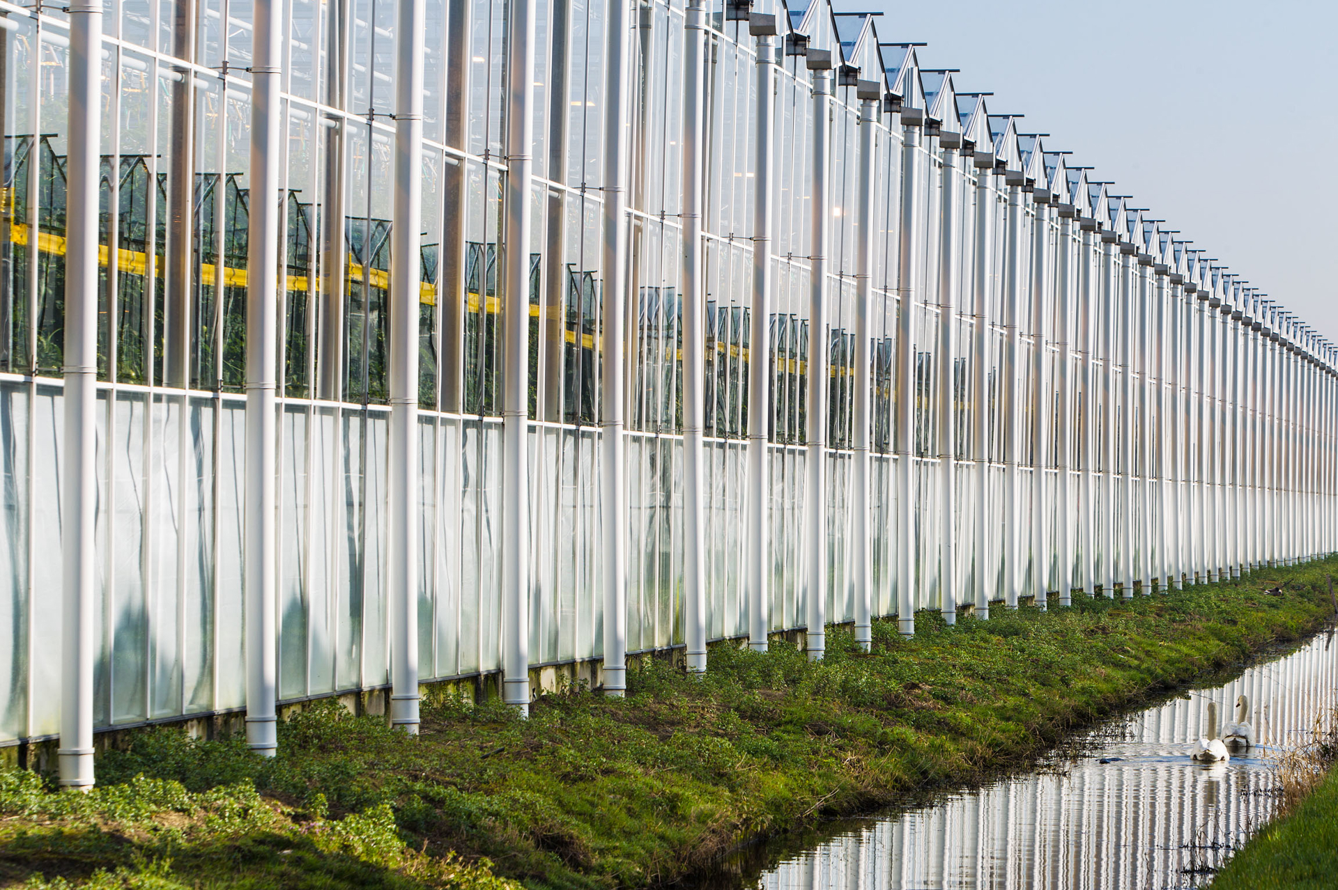 Rainwater Discharge Greenhouse