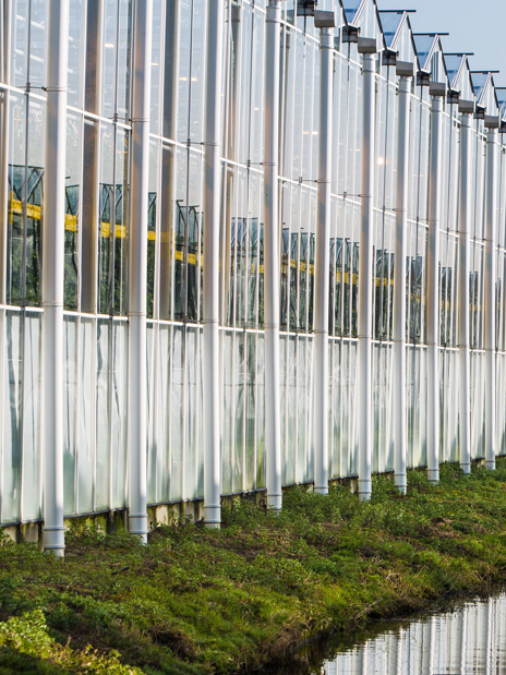 Rainwater Discharge Greenhouse