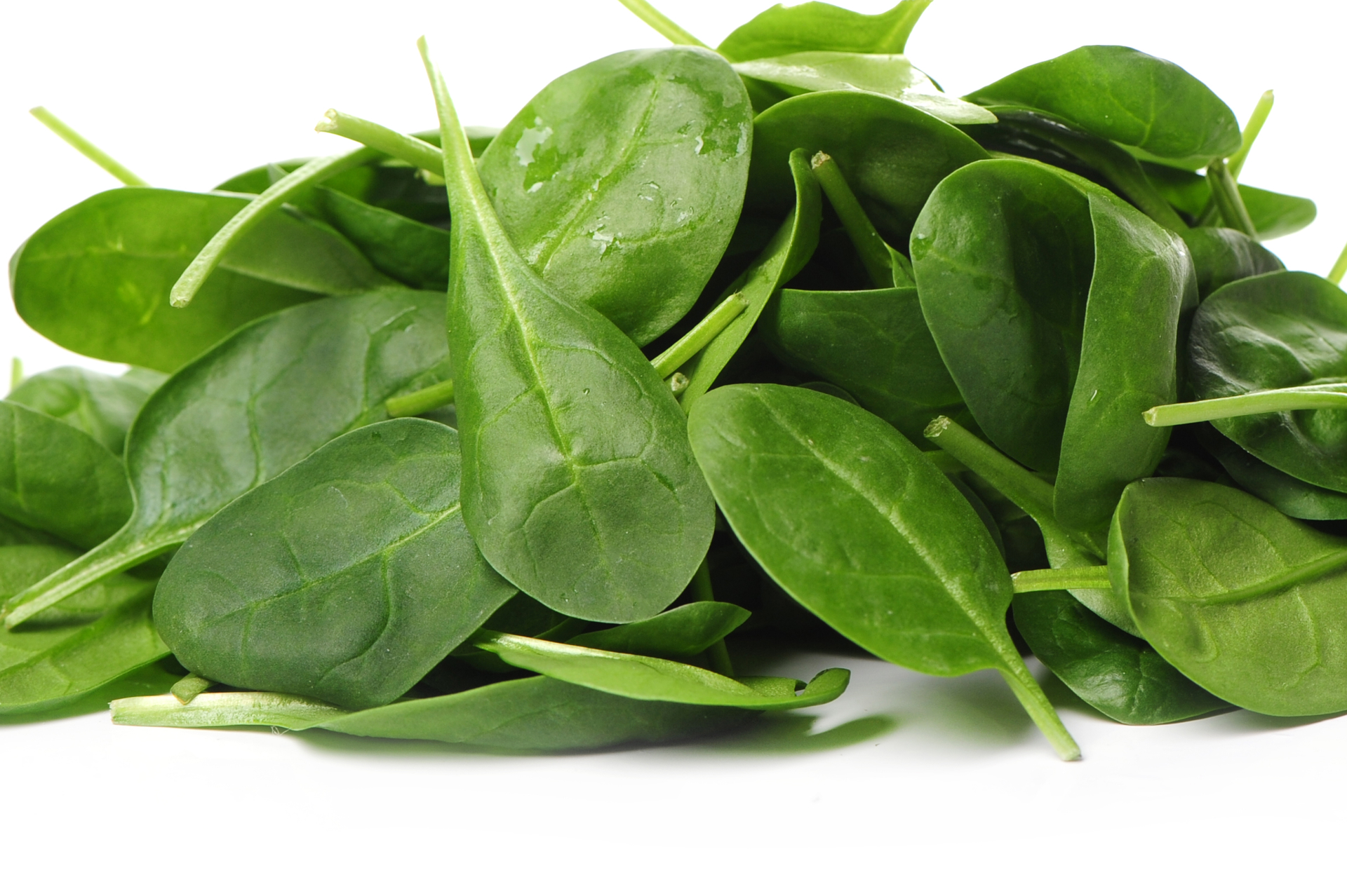 Fresh Spinach Leaves Isolated