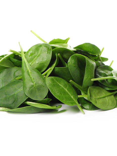 Fresh Spinach Leaves Isolated