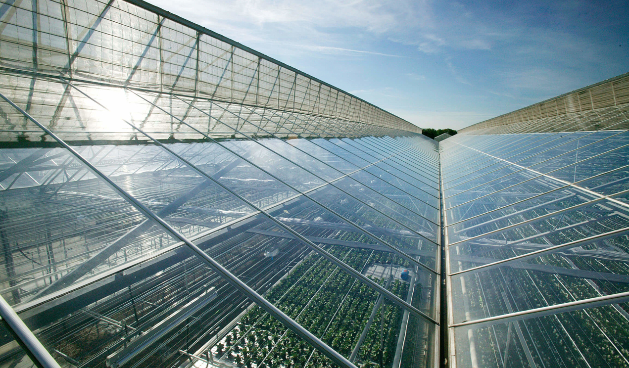 High-quality greenhouse glass for superior insulation