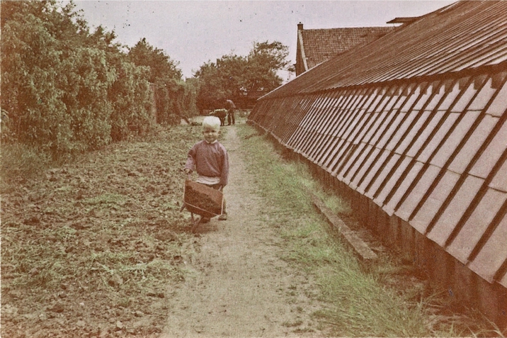 Dutchgreenhouses Past