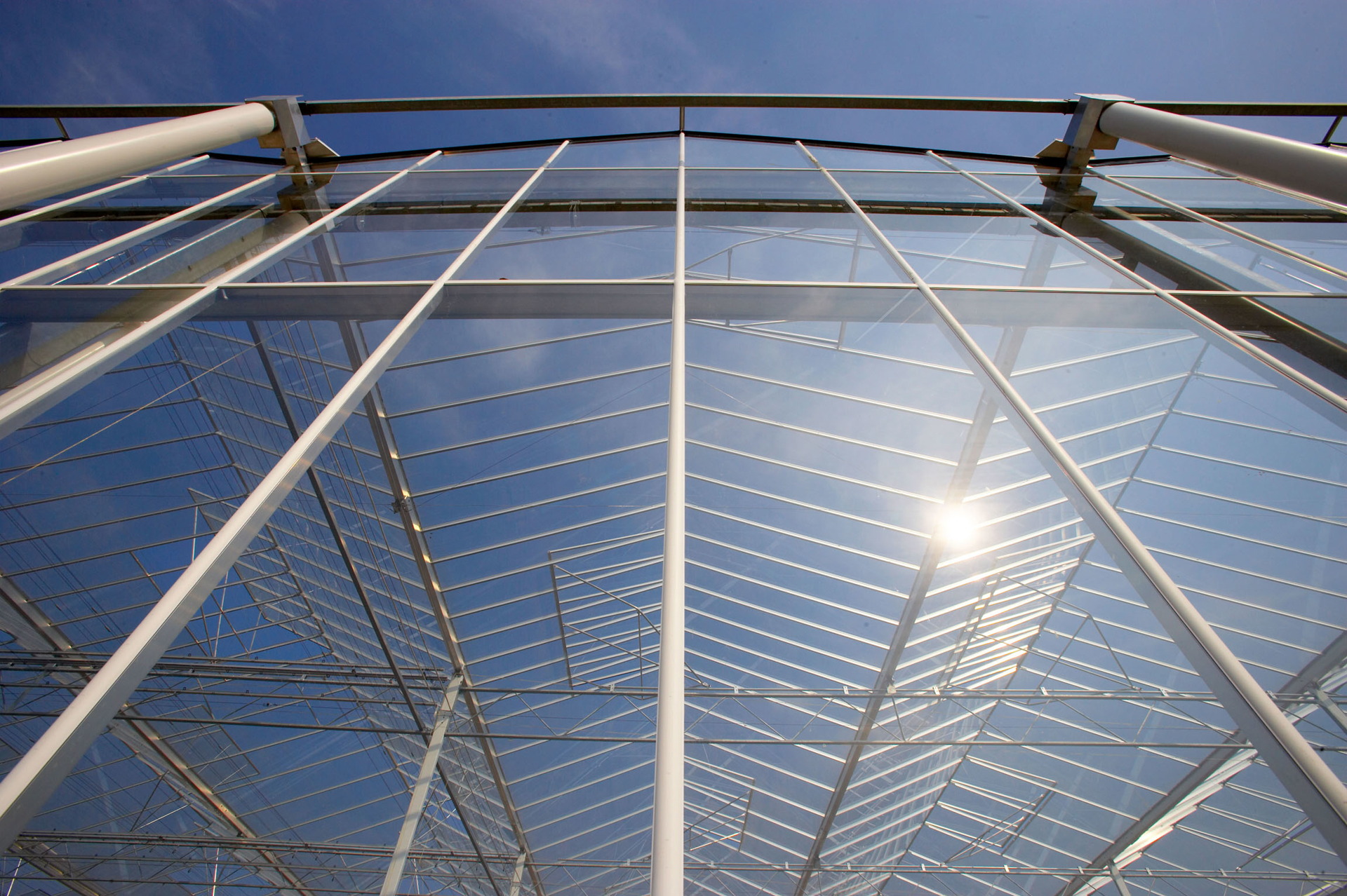 Greenhouse with Glass