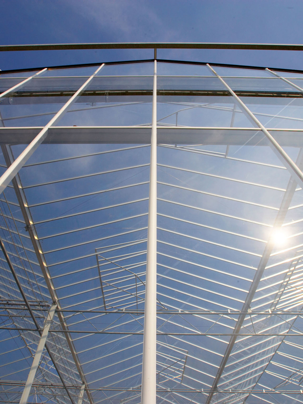 Greenhouse with Glass