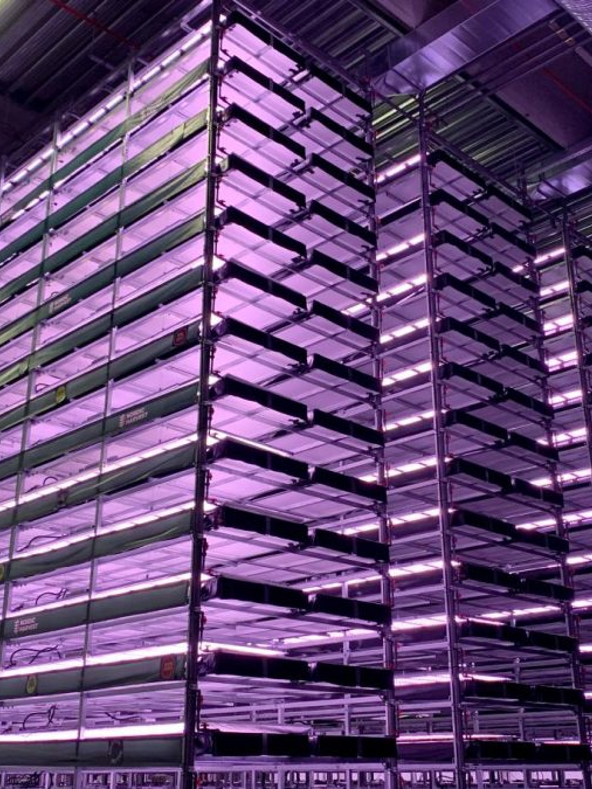 Indoor Farming Racks Greenhouse