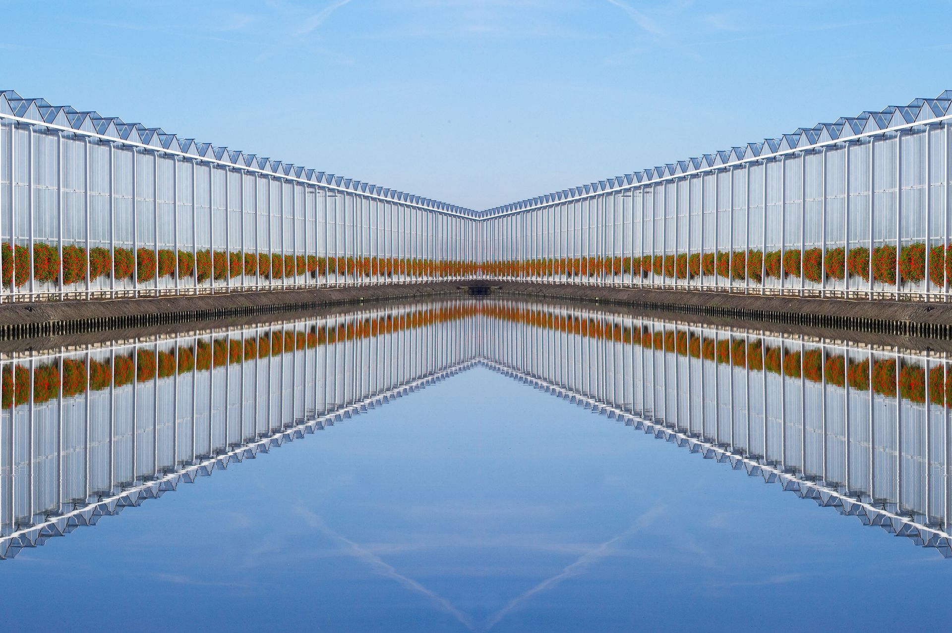 Dutchgreenhouses