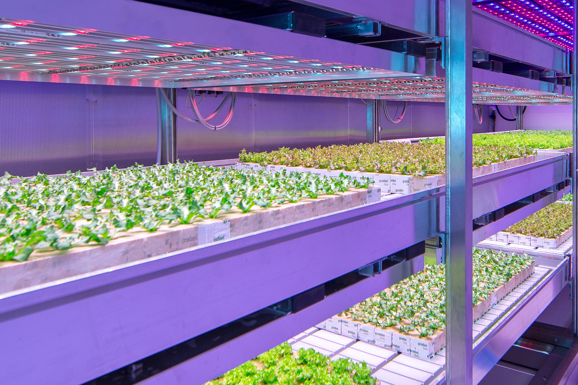 Indoor Growing greenhouse